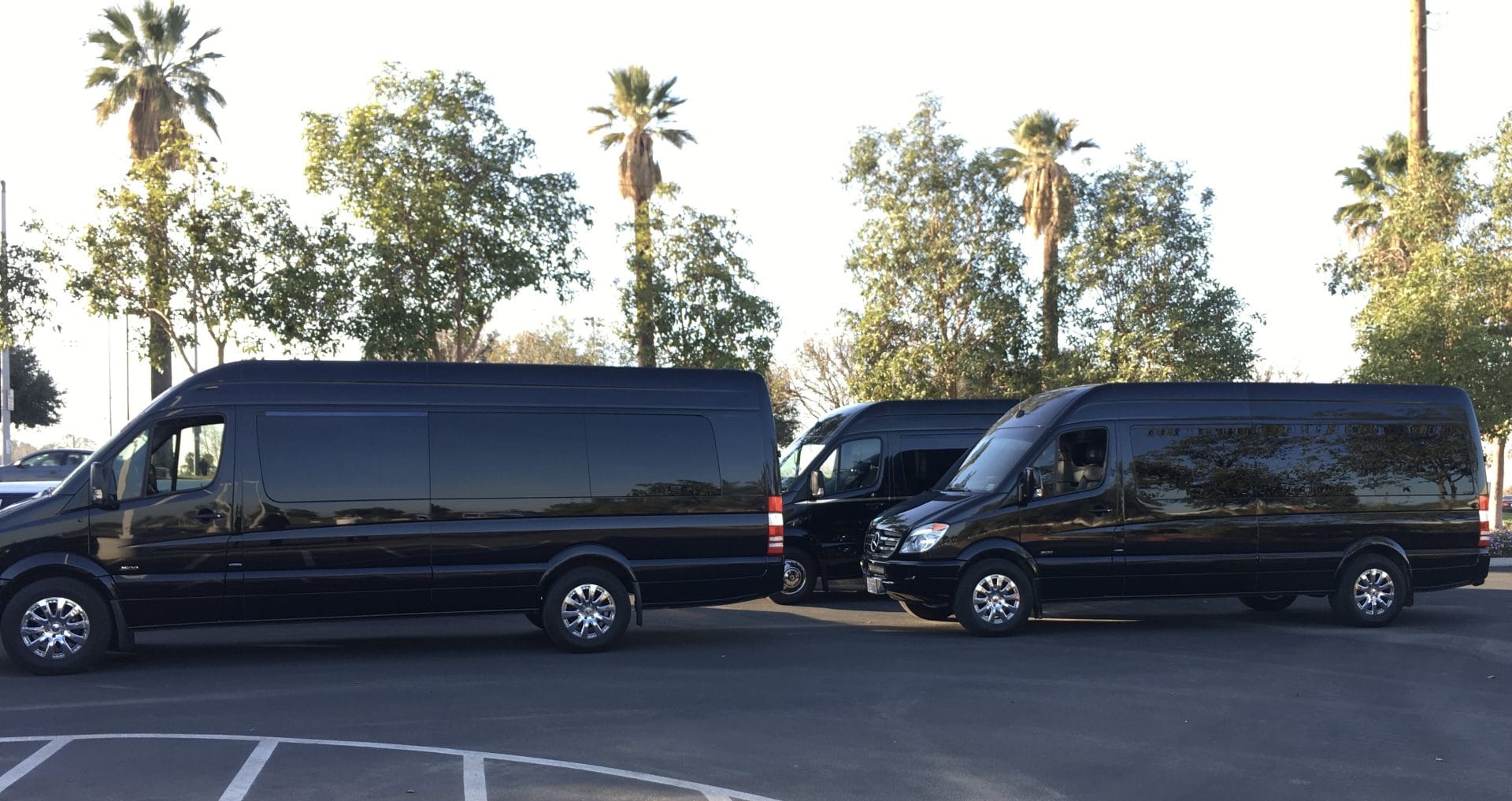 Murrieta Corporate Limo Services